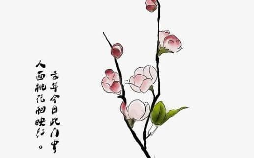 八字解析中的婚姻预测技巧 如何利用八字提高婚姻幸福感