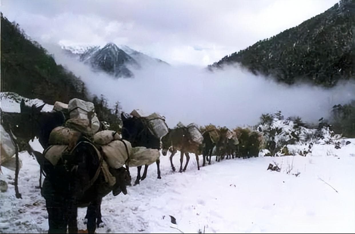 《兰州的雪》：余秀华笔下的西北情与人生悟