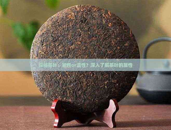 探秘茶叶：寒性or温性？深入了解茶叶的属性