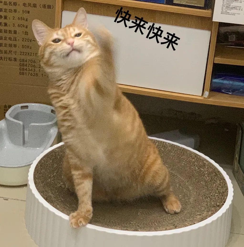 深圳6大免费过夜场所！机场、口岸、高铁站全都有！