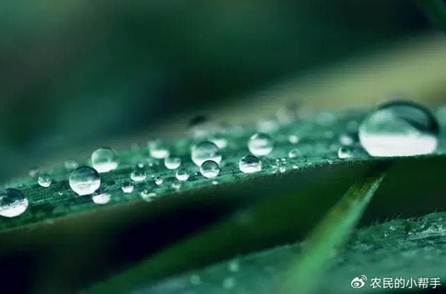 明天春分，“雨淋春分头，吃喝不用愁”，下雨啥预兆？农谚有说法
