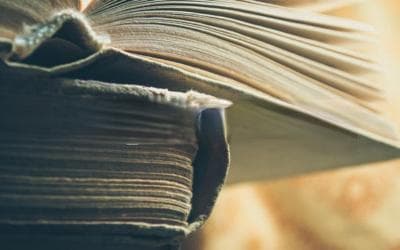 解密神奇的对数函数：Log 是什么？它究竟有何魔力？