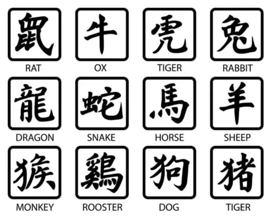 生肖对生活的影响