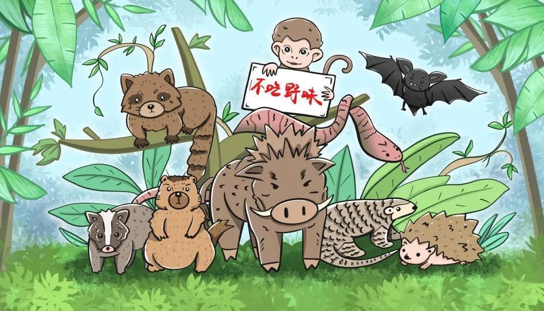 保护野生动物，从你我做起！