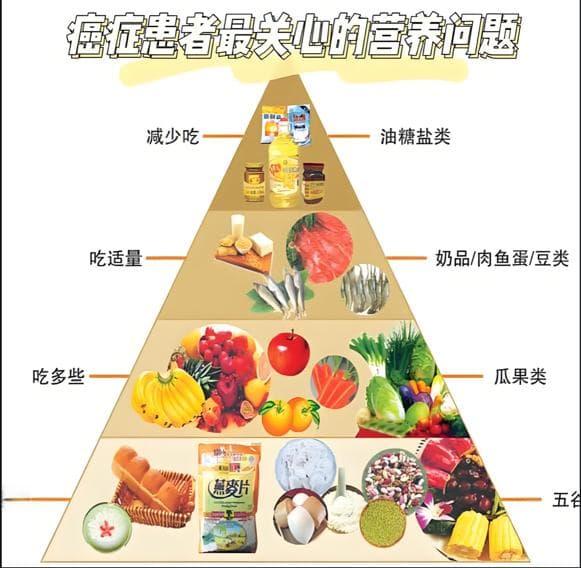 化疗病人的饮食管理