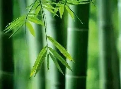 刘禹锡千古名篇《陋室铭》，治愈无数人，读懂自有福气