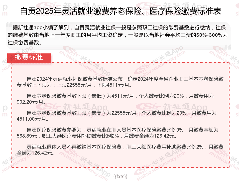2025年自贡灵活就业人员社保缴费标准详解