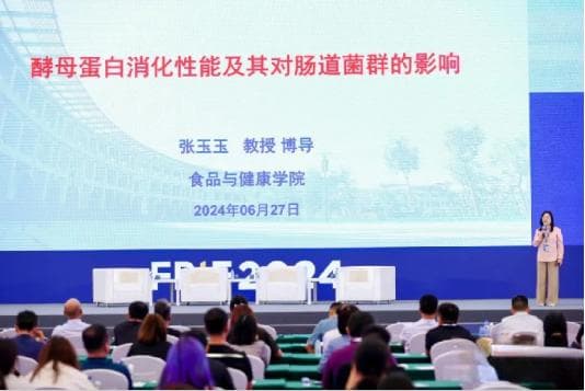 酵母蛋白，引领未来！