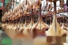 腊鸡炖什么好吃？腊鸡炖什么汤好？