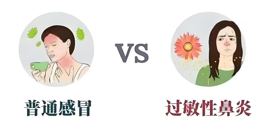 别把过敏当感冒！春日防 “敏” 指南来了！