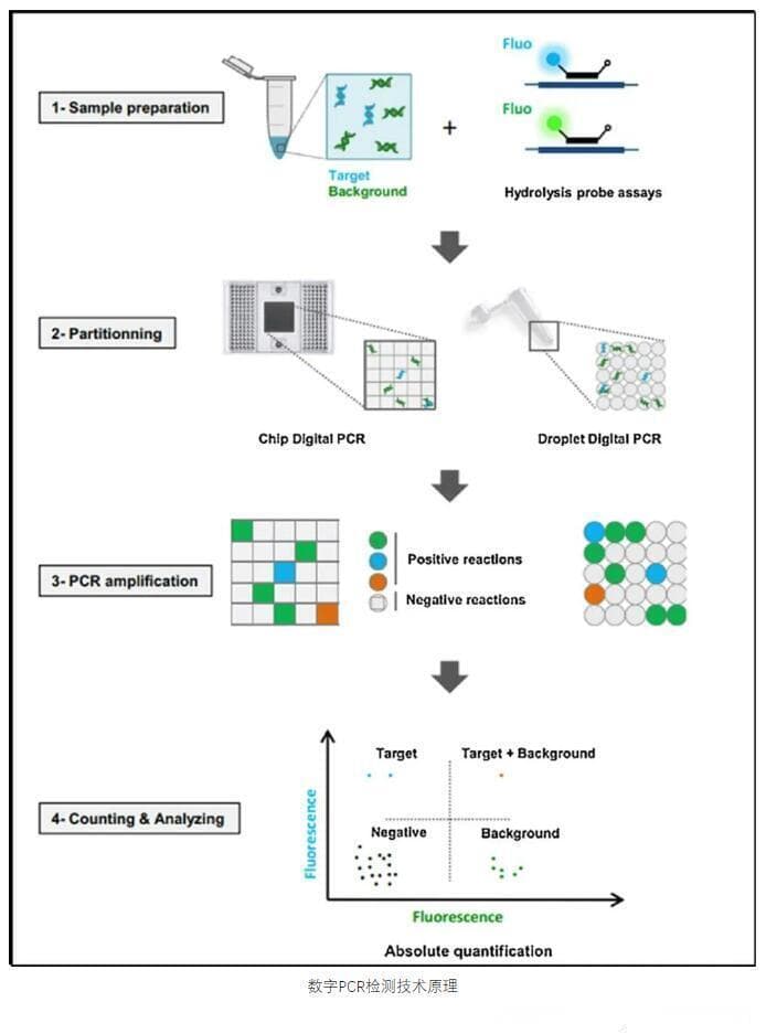 一文搞懂 PCR、qPCR、RT-PCR、RT-qPCR 及优缺点