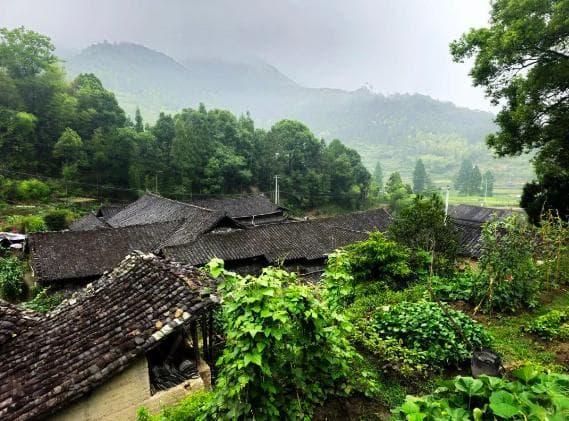 温州泰顺古民居：五种类型展现浙南山区建筑文化