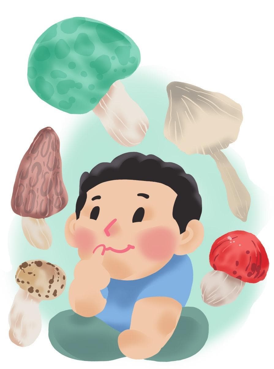 “云菌”产业如何破局