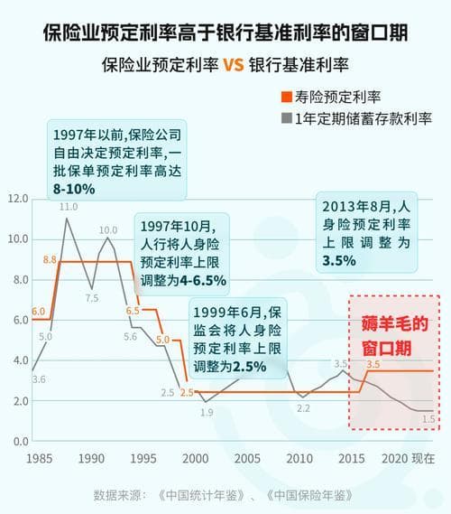 保险利率相关知识解析