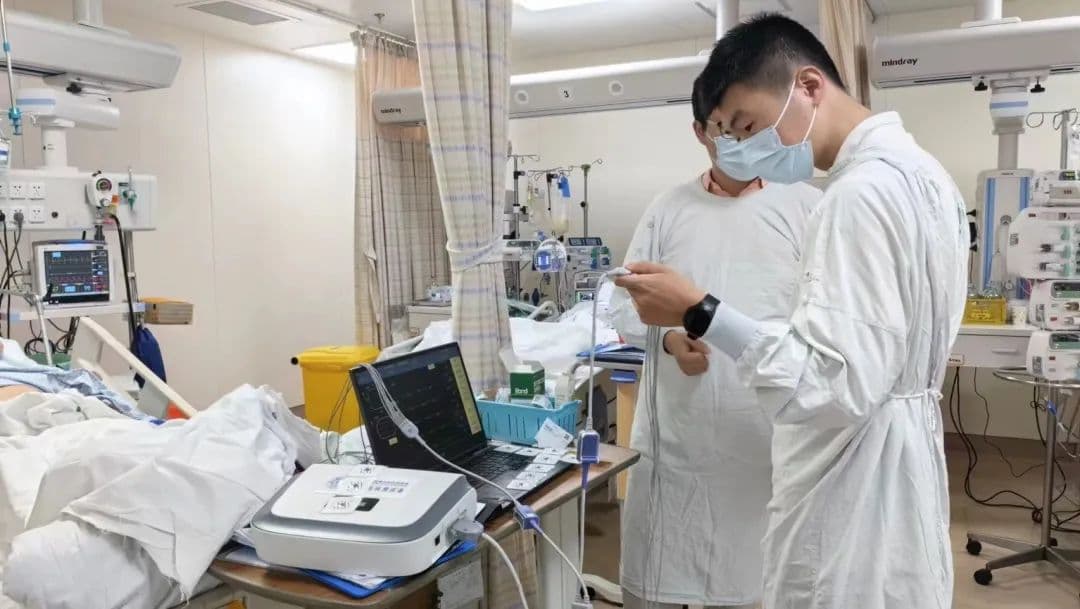 让草莓恢复“小时候的味道”，这些高校科研团队的成果亮了
