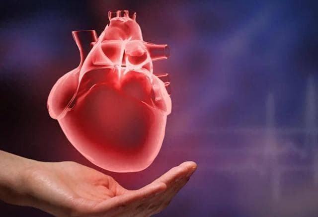 《欧洲心脏杂志》最新研究：牛肉真的会增加心脏病风险吗？