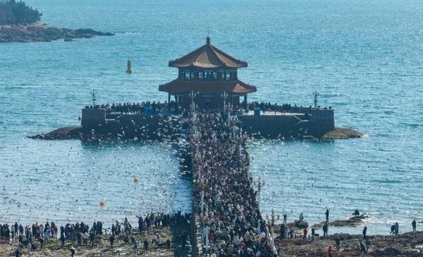 冬游青岛｜变“冷”为“热”，青岛突破文旅市场“淡季不淡”新边界