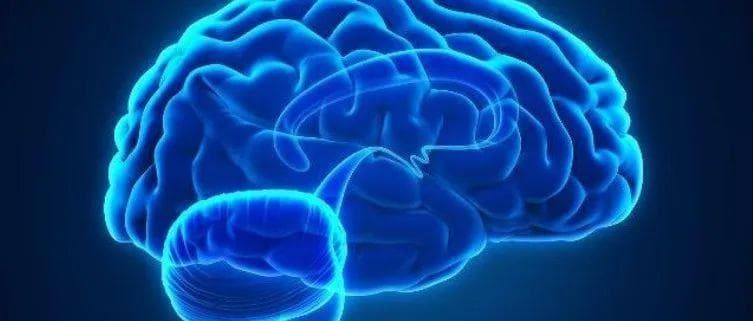 中国缺血性卒中及短暂性脑缺血发作患者血脂长期管理科学声明