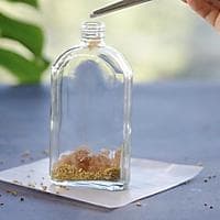 桂花泡酒｜封存这个秋天的美好风物！