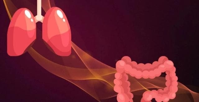 最新研究：肠道菌群失衡会促进肺癌发生并降低免疫治疗效果