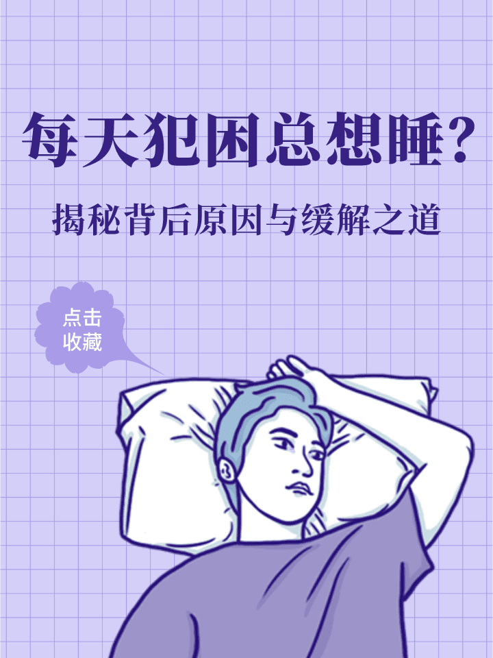 每天犯困总想睡？揭秘背后原因与缓解之道