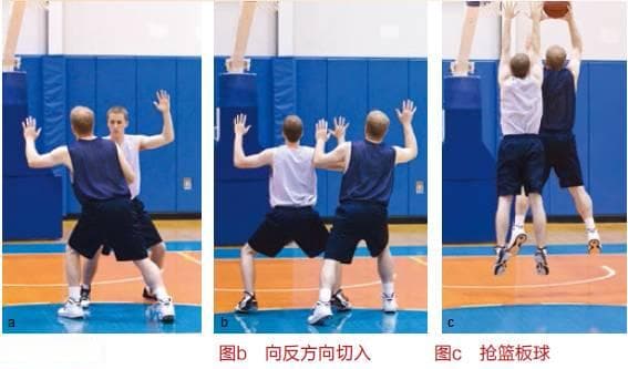 抢篮板技巧详解：从理论到实战，全面提升你的篮板球能力