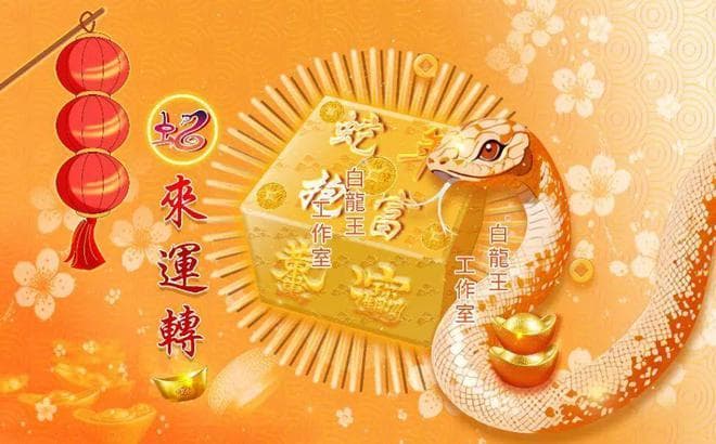 九运第二年乙巳蛇年：养气场，做自己！