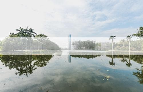 扶他林和红花油哪个更好？全面比较与解析