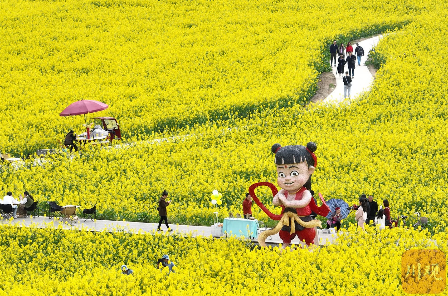 成都崇州：油菜花海里的文旅新画卷