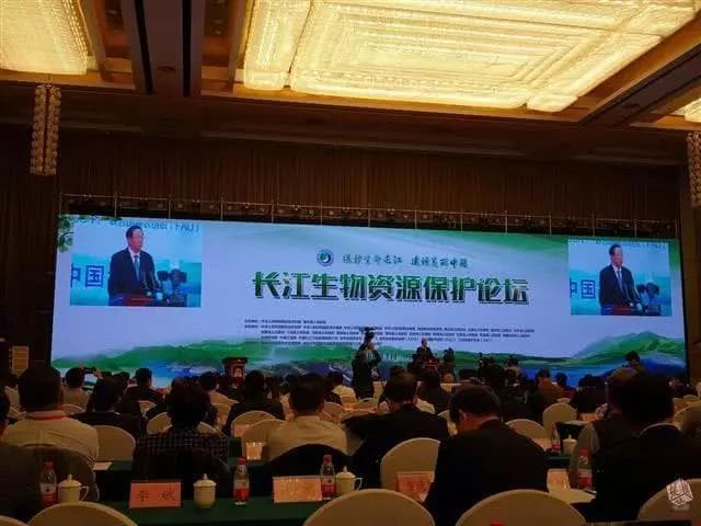 长江生物资源保护论坛聚焦小水电过度开发问题