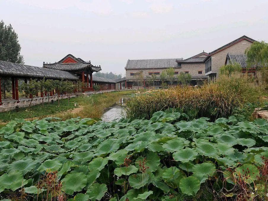 探寻中国文化遗产南阳古镇的历史与文化底蕴