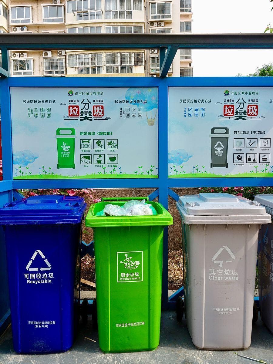日常生活中有哪些简单易行的环保措施？