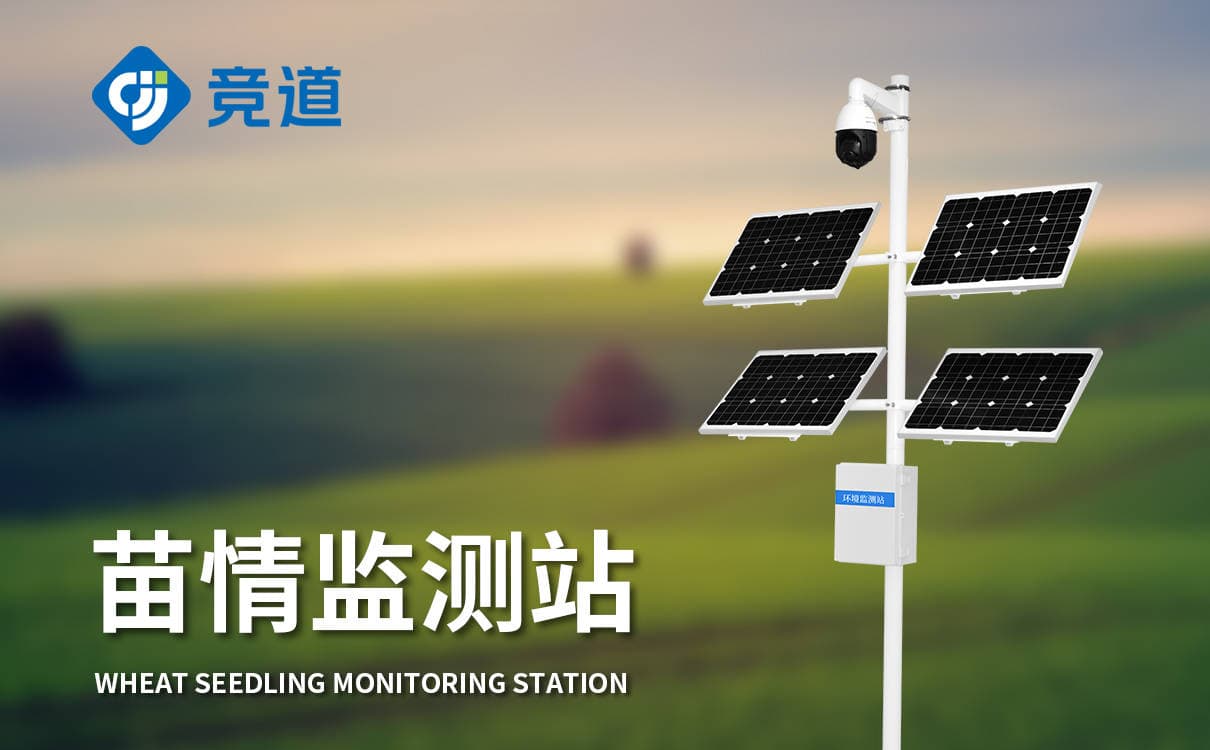 水稻苗情监测设备：智能农业助力水稻增产提质