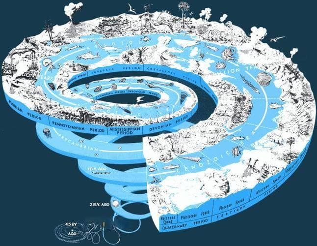 生物多样性的重要性：保护地球生态系统的基石