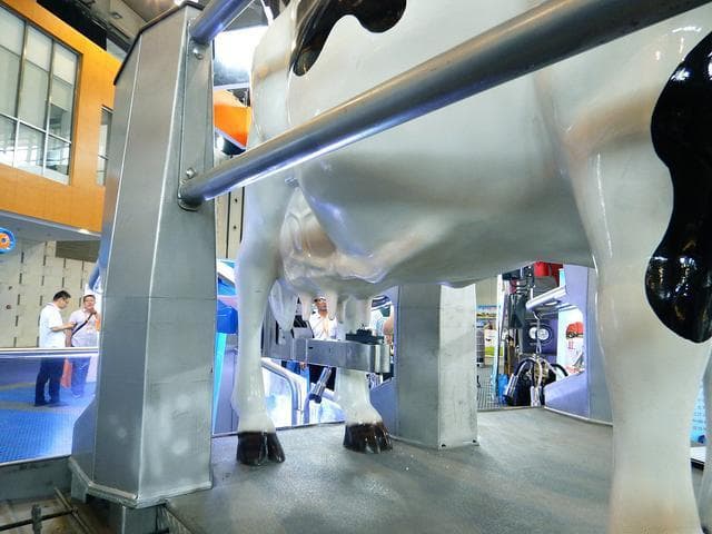 物联网技术引领畜牧业智能化转型，实现效率与福利双赢