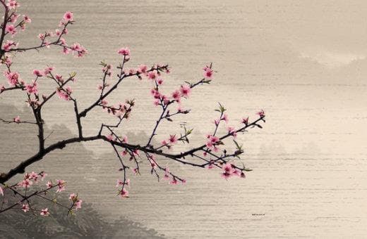 八字忌神需制衡 泄耗调和生克关系