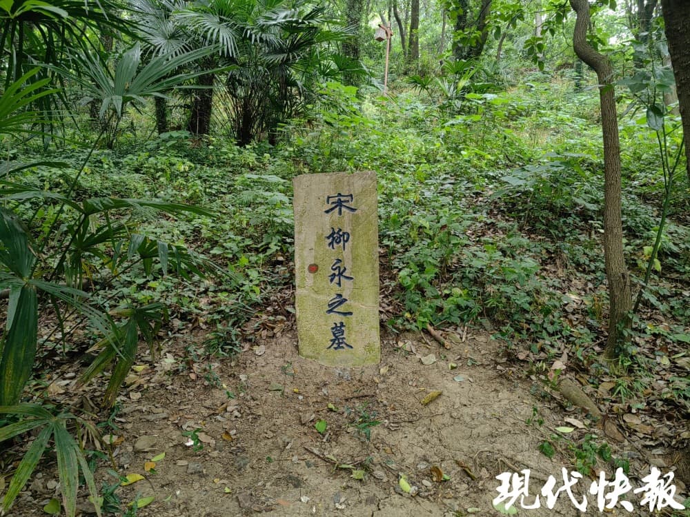 镇江柳永墓碑再引热议，官方回复：21年前办活动时留下的