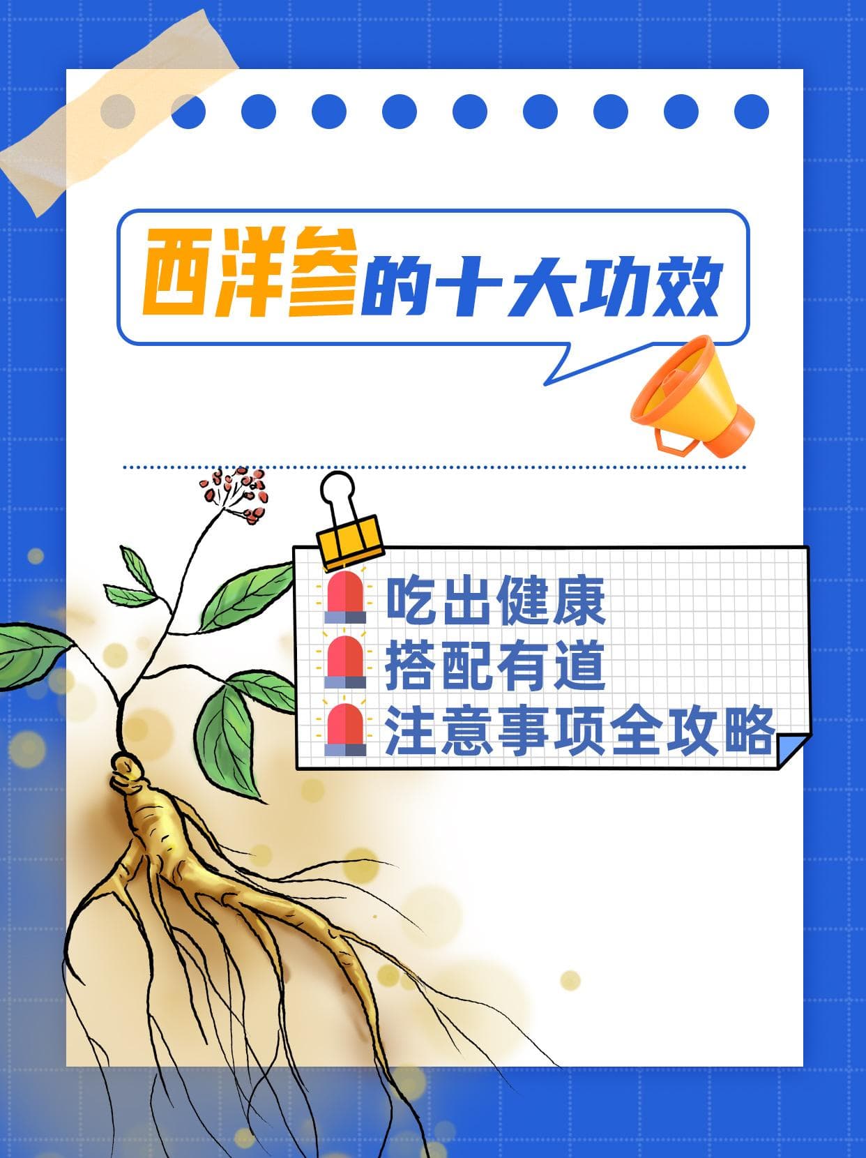 西洋参的十大功效：吃出健康搭配有道