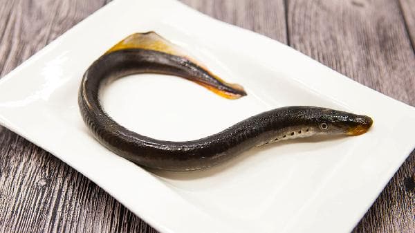 鳗鱼：高蛋白低负担，护心健脑的超级食材你吃对了吗？
