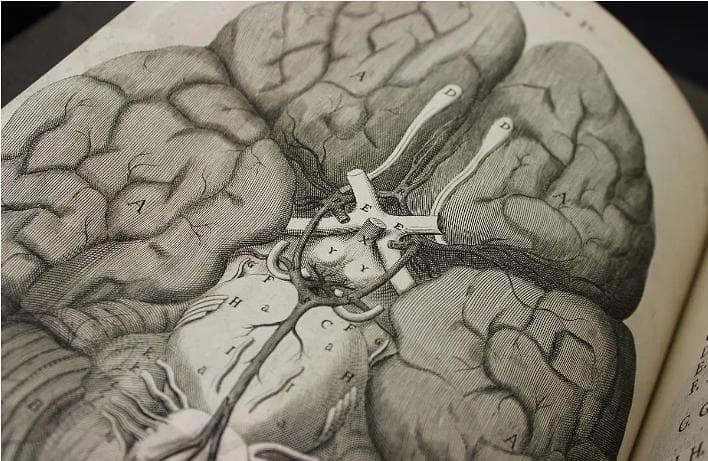 意识是体验