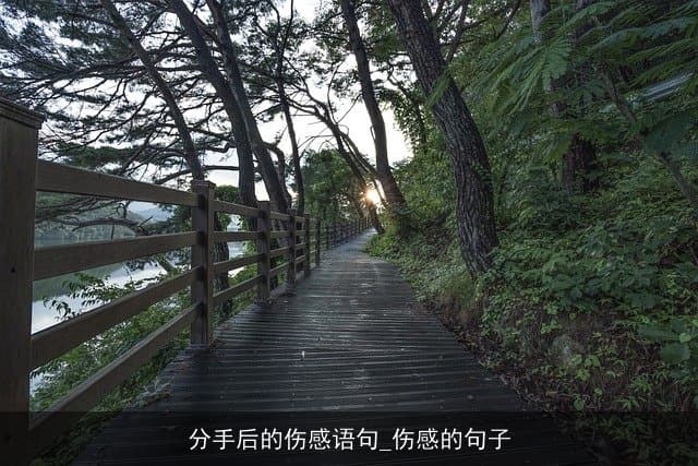 分手后的伤感语句：心灵的疗伤之痛与成长见证