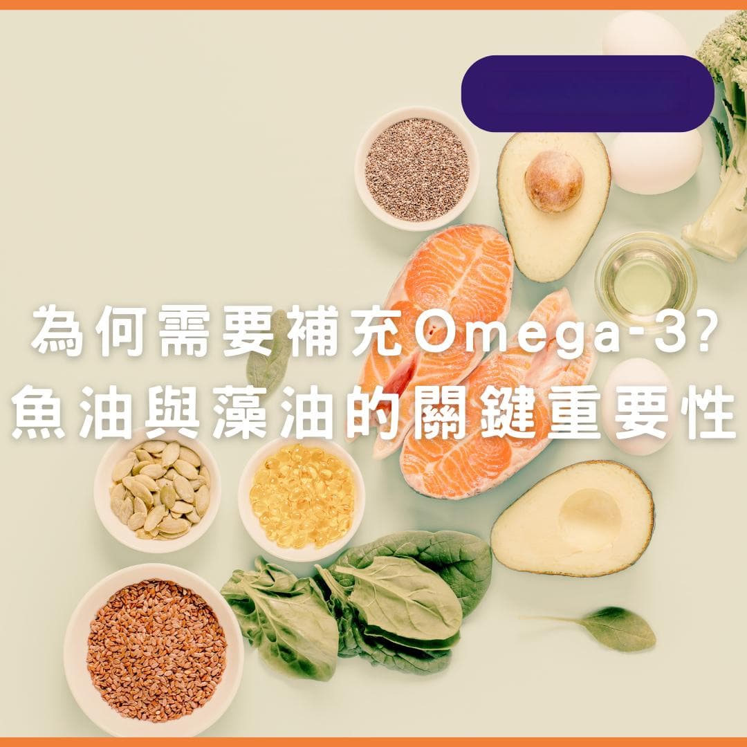为什么宠物需要补充Omega-3？鱼油与藻油的关键重要性是什么？