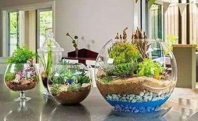 花盆改造鱼缸的技巧：如何将花盆改造成鱼缸