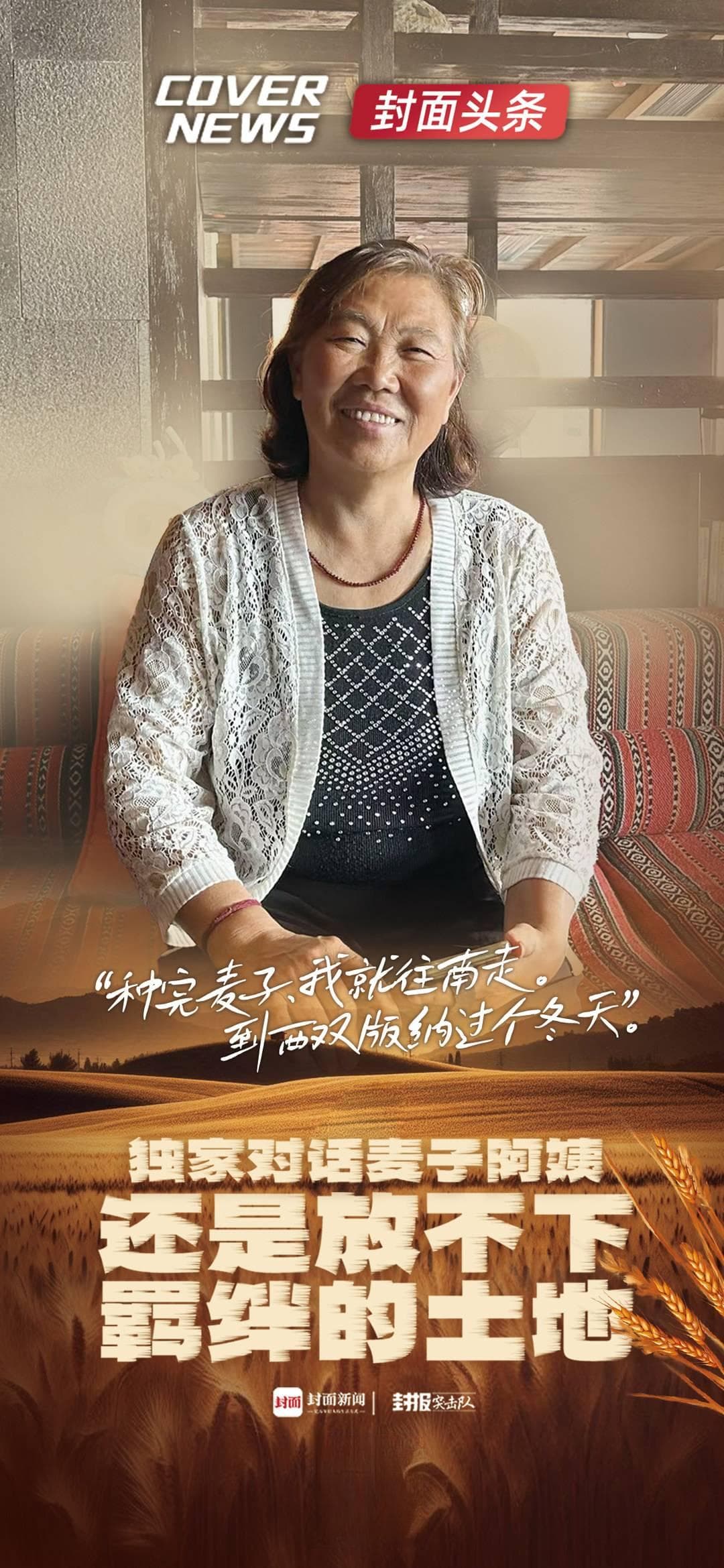 种完麦子在西双版纳过冬！对话"麦子阿姨"：想先打工把机票钱还上