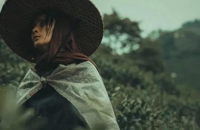 《草木人间》深度解读：五大隐喻揭示人生真谛，现代版目连救母