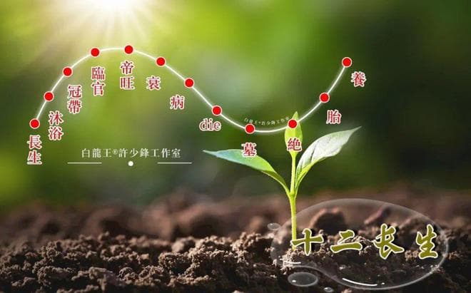 十天干的十二运法