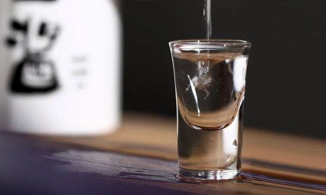 “豆腐下酒，不如喂狗”：这句俗语背后竟有科学依据