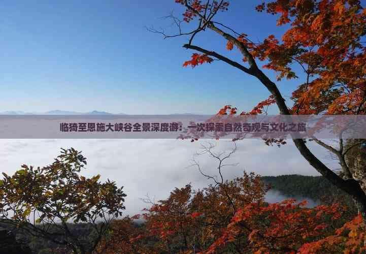 临猗至恩施大峡谷全景深度游：一次探索自然奇观与文化之旅