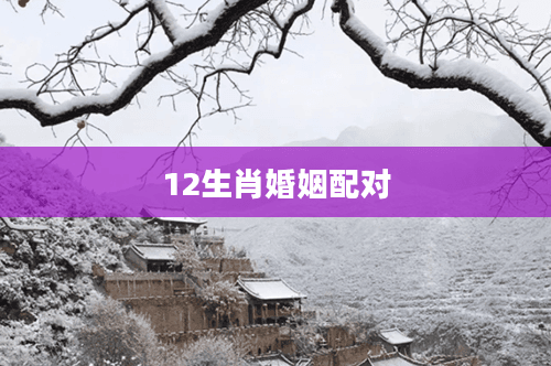12生肖婚姻配对