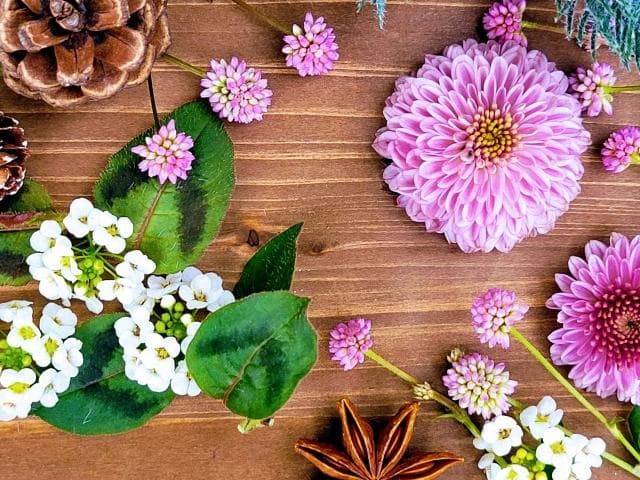 四季护肤全攻略：不同季节的护肤要点和注意事项